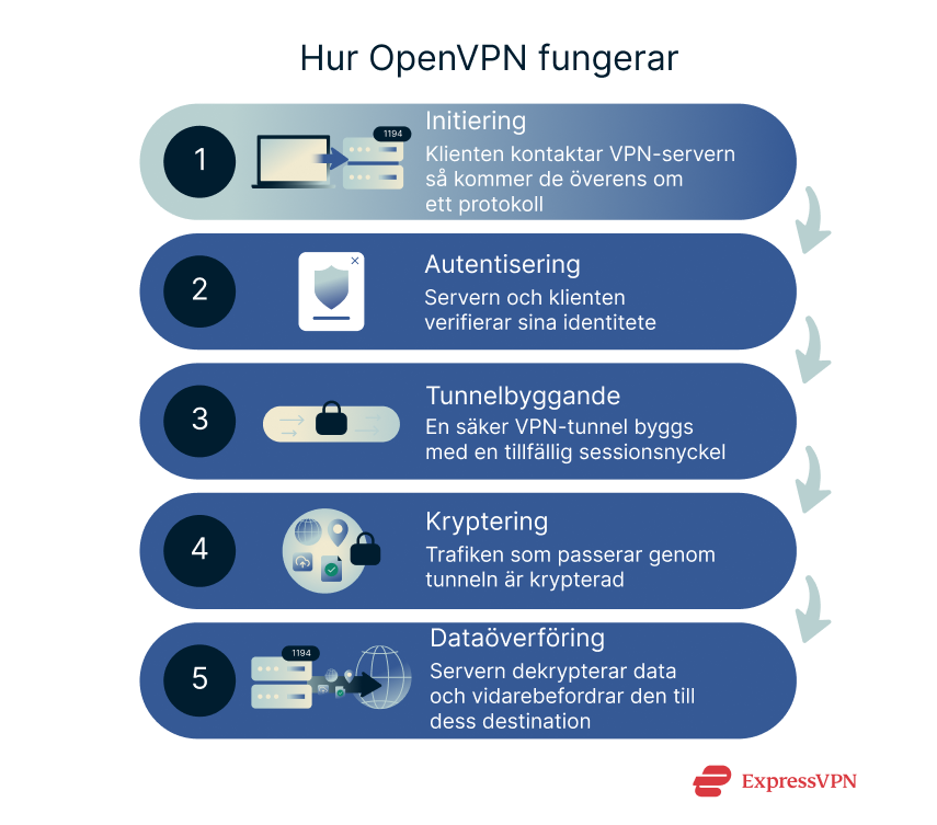 Illustration How Openvpn Works 1 3