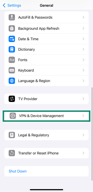 iPhone Settings under General with VPN & Device Management highlighted.